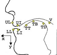 EMA coil positions