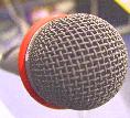 mic'