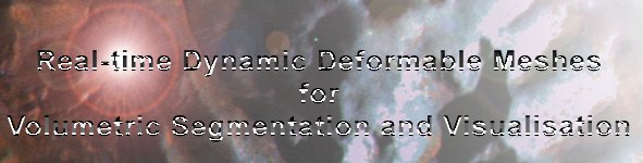Real-time Dynamic Deformable Meshes for Volumetric Segmentation and Visualisation